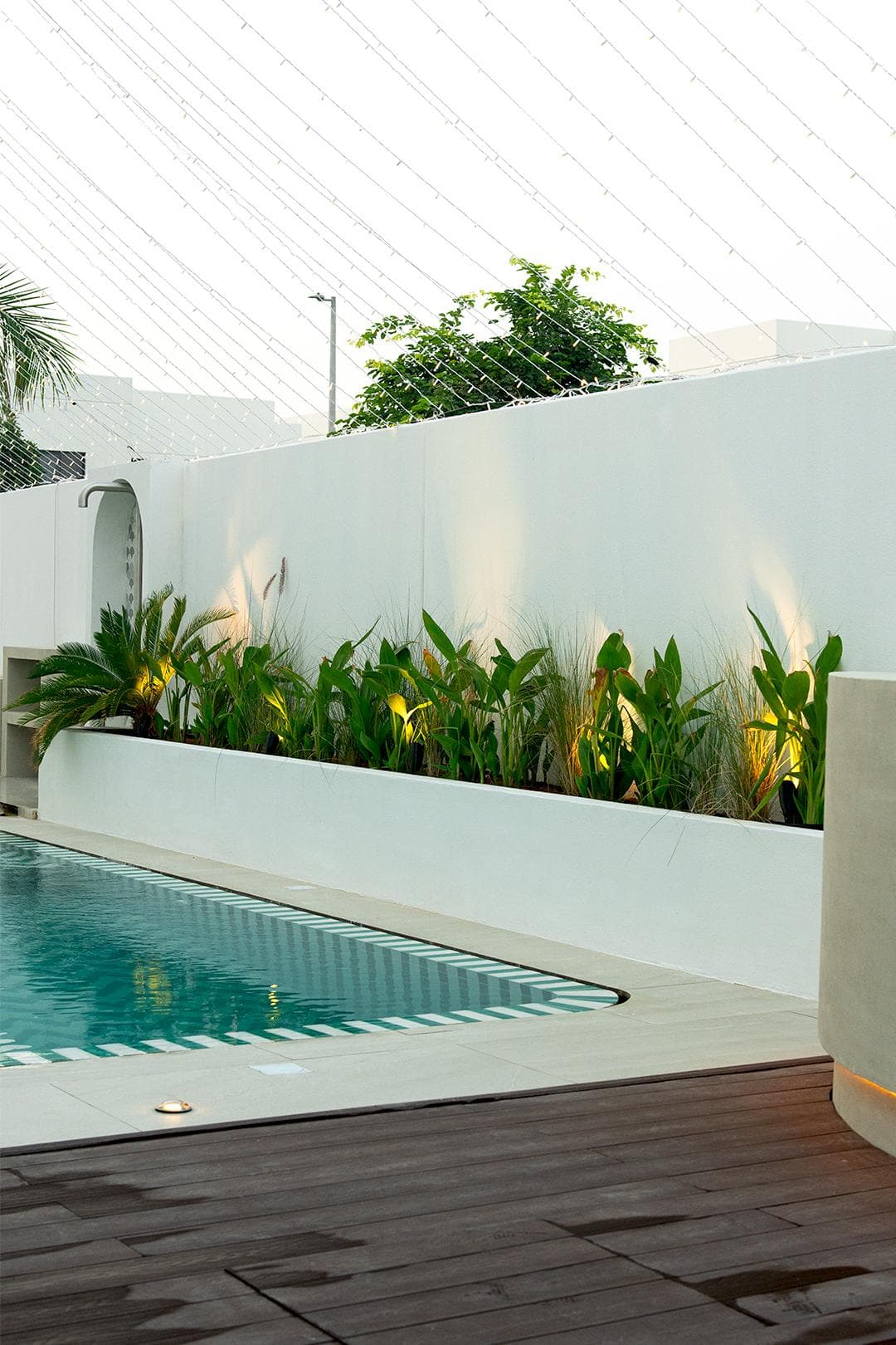 Pool edge with uplit tropical planting along a white boundary wall