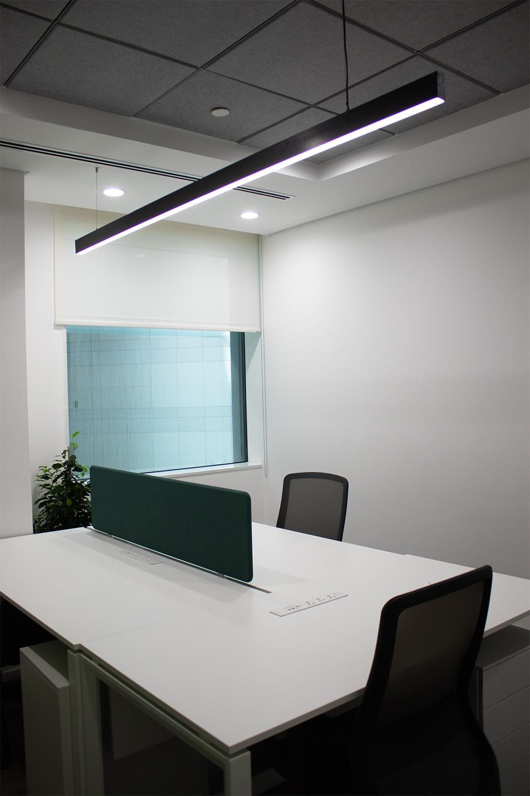 Focus room with black linear pendant luminaire and acoustic ceiling tiles