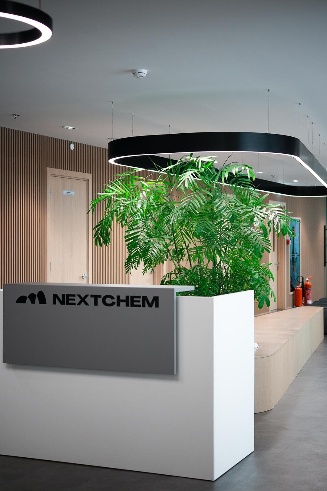 NextChem reception desk with suspended ring luminaires and timber slat wall