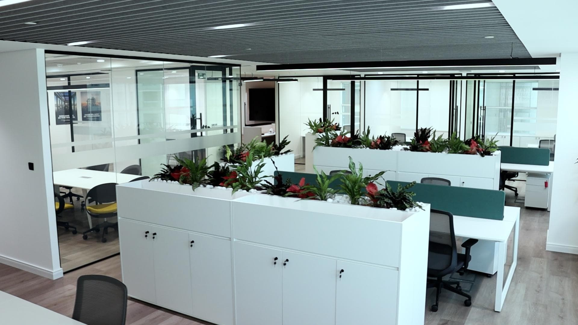 Glass-partitioned open office with planted storage dividers