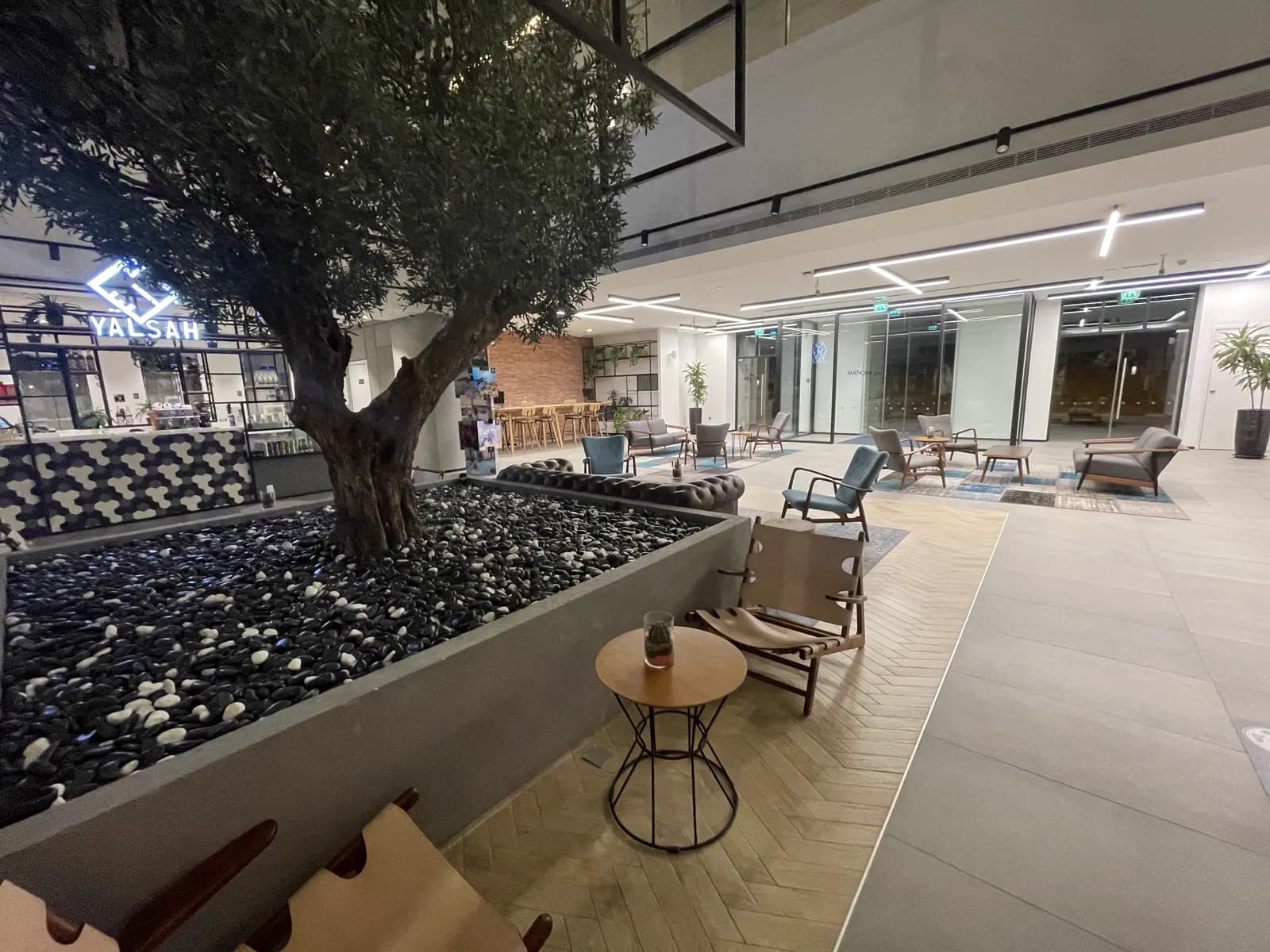 Interior courtyard lounge with a mature olive tree set in a pebble bed