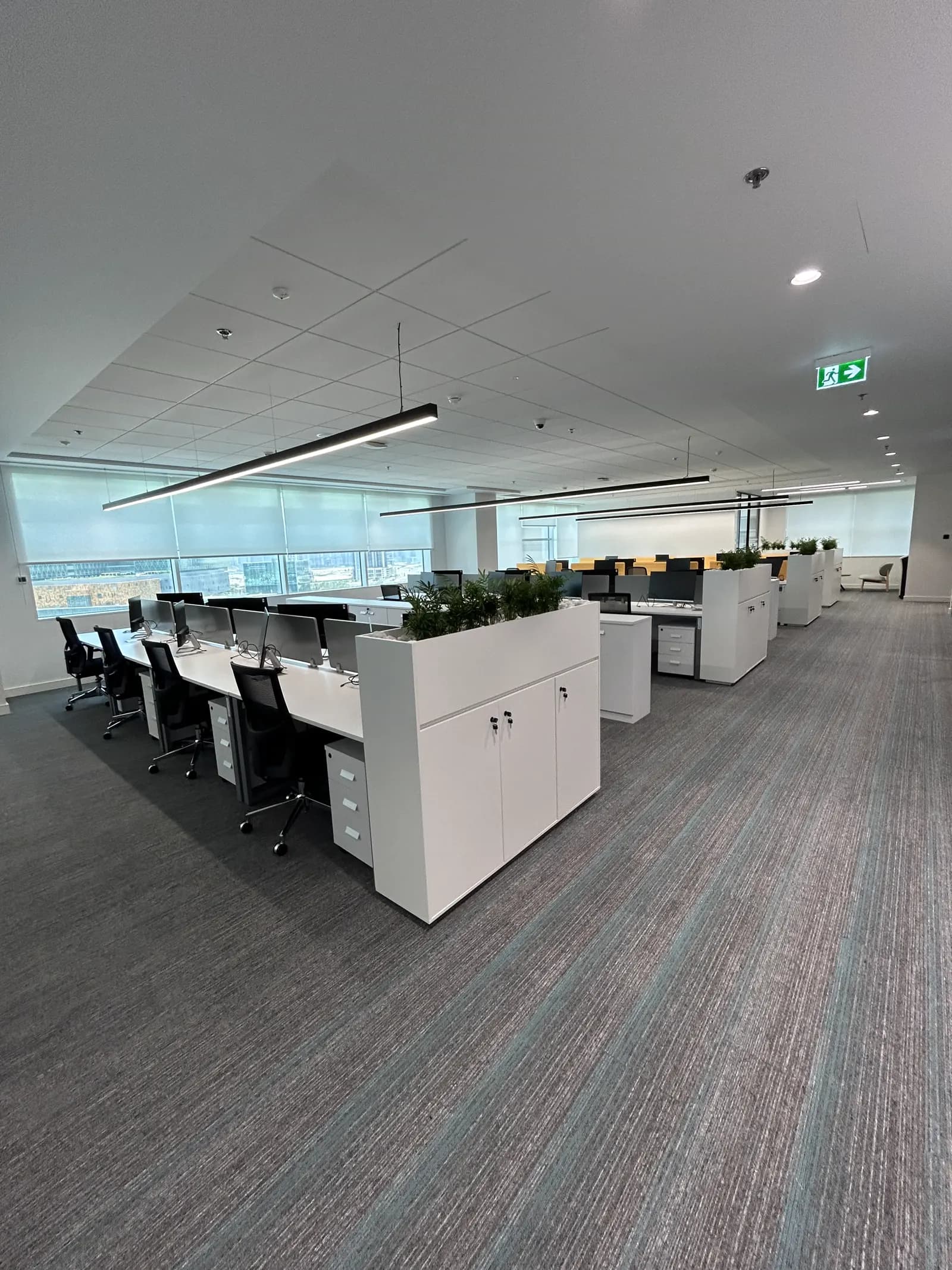 Workstation rows beside full-height glazing with planting and acoustic ceiling