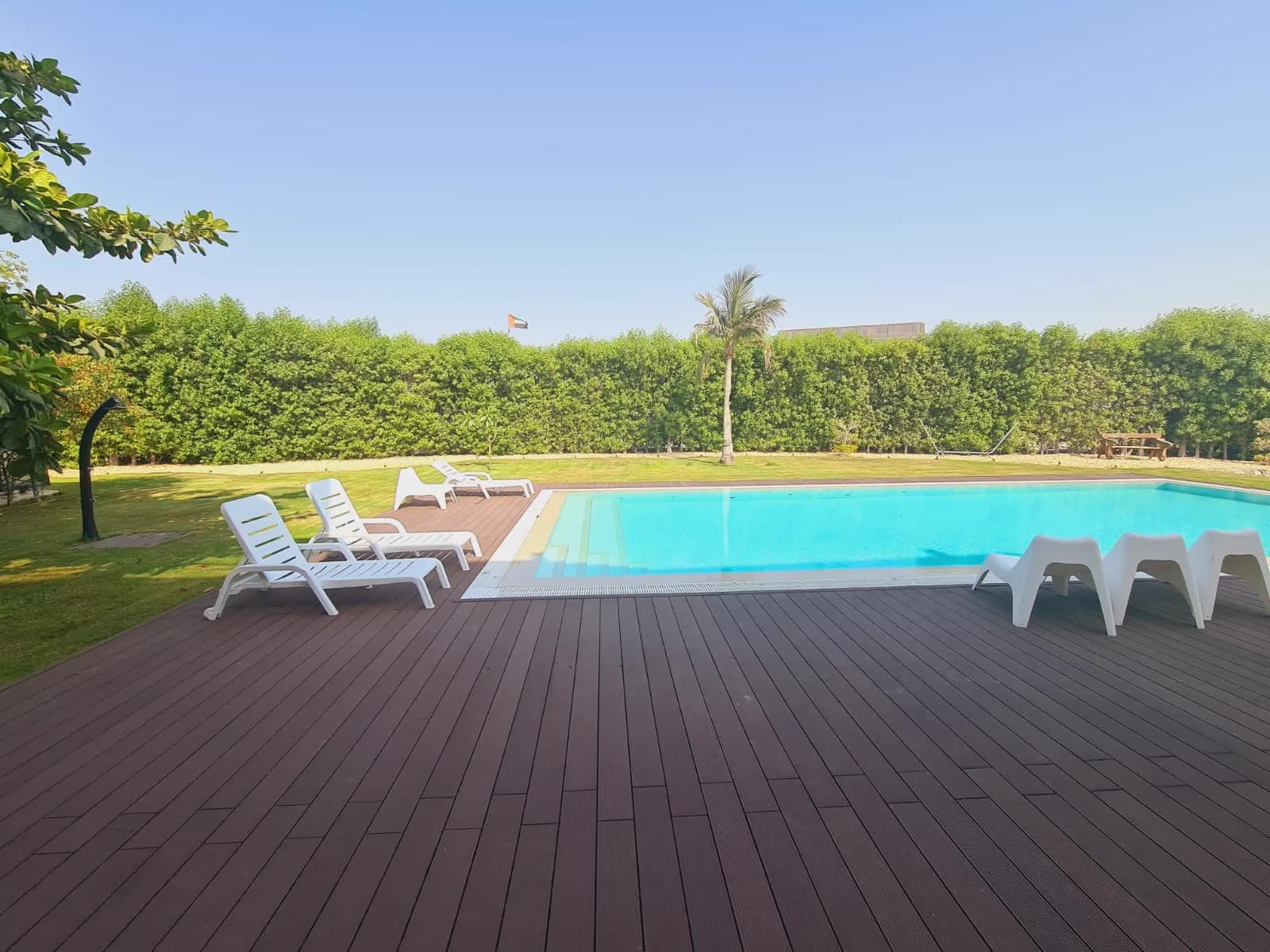 Poolside sun loungers on a hardwood deck beside a turquoise pool and screening hedge